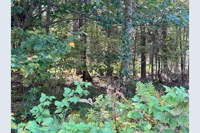 Lot 2 Back Ridge Road, Orland, ME 04472 - Photo 1