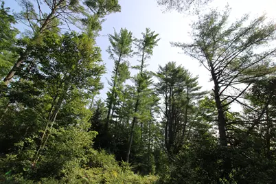 Lot 12 Bear Pond Road, Waterford, ME 04088 - Photo 64