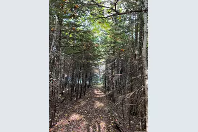 472 Schooner Head Road, Bar Harbor, ME 04609 - Photo 104