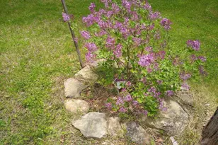 162 Hill Road Rd, T1 R9 Wels, ME 04462 - Photo 22