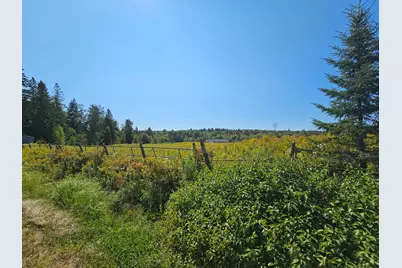 `map 4, Lot 17, Northfield Road, Marshfield, ME 04654 - Photo 24