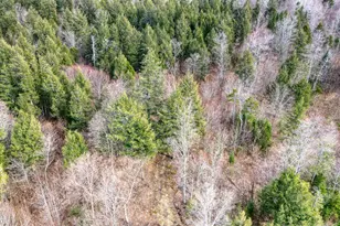 0 Little Huston Brook Rd, ConnorTownship, ME 04920 - Photo 152