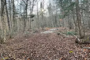 0 Little Huston Brook Rd, ConnorTownship, ME 04920 - Photo 178