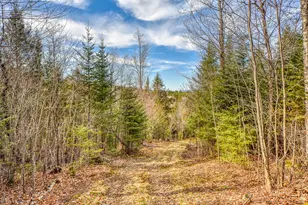 0 Little Huston Brook Rd, ConnorTownship, ME 04920 - Photo 122