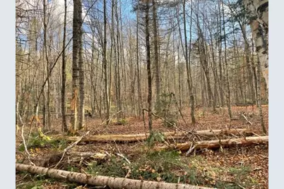 0 Little Huston Brook Road, ConnorTownship, ME 04920 - Photo 172
