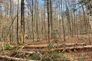 0 Little Huston Brook Rd, ConnorTownship, ME 04920 - Photo 172