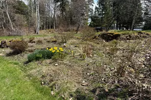 399 Hermits Point Rd, Islesboro, ME 04848 - Photo 50