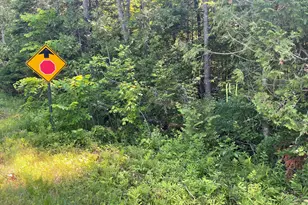 Lot 15-15 Brann Rd, Levant, ME 04456 - Photo 1