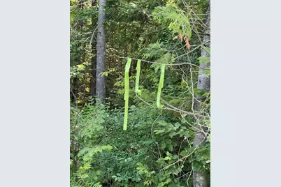 Lot 15-15 Brann Road, Levant, ME 04456 - Photo 2