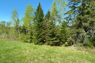 431 Caribou Rd, Cyr Plt, ME 04785 - Photo 1