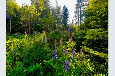 67 Saddleback Mountain Road, Dallas Plt, ME 04970 - Photo 8