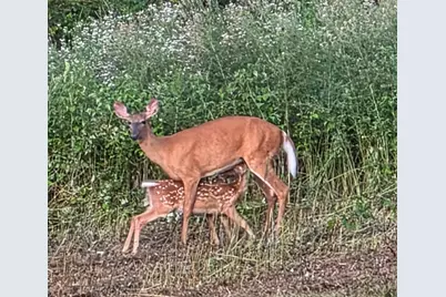 985 N North Main Street, Winterport, ME 04496 - Photo 6