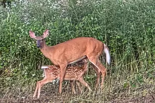 985 N North Main St, Winterport, ME 04496 - Photo 6