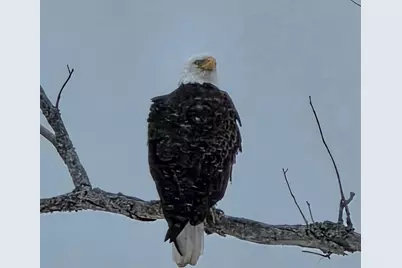 985 N North Main Street, Winterport, ME 04496 - Photo 20