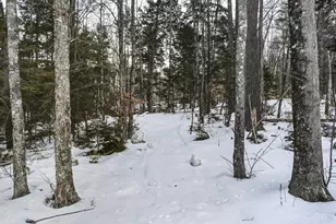 39 Katie Vw Rd, Bethel, ME 04217 - Photo 64