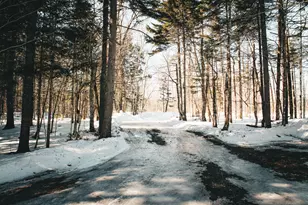 Map Plan B-4028L, Hammond, ME 04730 - Photo 8