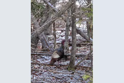 1508 Oxbow Road, Oxbow, ME 04764 - Photo 16