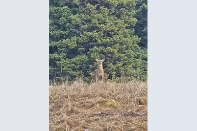 1508 Oxbow Road, Oxbow, ME 04764 - Photo 14