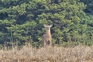 1508 Oxbow Rd, Oxbow, ME 04764 - Photo 14