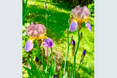 177 Richtown Road, Tremont, ME 04612 - Photo 54