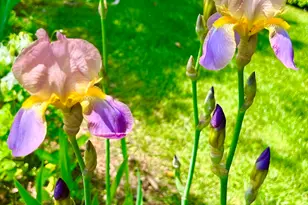 177 Richtown Rd, Tremont, ME 04612 - Photo 54