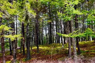 177 Richtown Rd, Tremont, ME 04612 - Photo 50