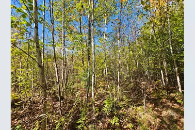 059-007 Soper's Mill Road, Auburn, ME 04210 - Photo 4