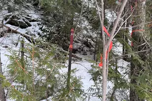 950 Carrying Pl Rd, Carrying Place Town Twp, ME 04961 - Photo 46