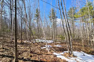 0 Sabattus Trail Rd, Lovell, ME 04051 - Photo 1