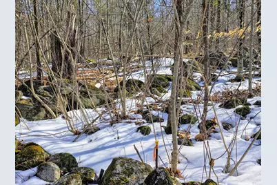 0 Sabattus Trail Road, Lovell, ME 04051 - Photo 12