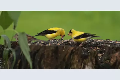 503 Main Street, Reed Plt, ME 04497 - Photo 8