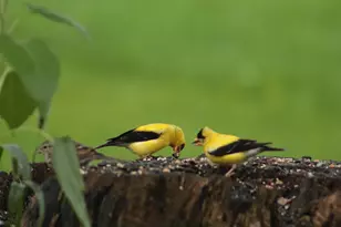 503 Main St, Reed Plt, ME 04497 - Photo 8