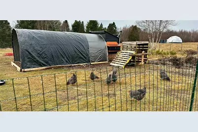 503 Main Street, Reed Plt, ME 04497 - Photo 18