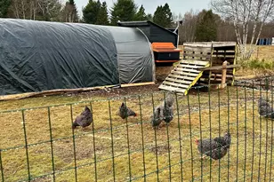 503 Main St, Reed Plt, ME 04497 - Photo 18