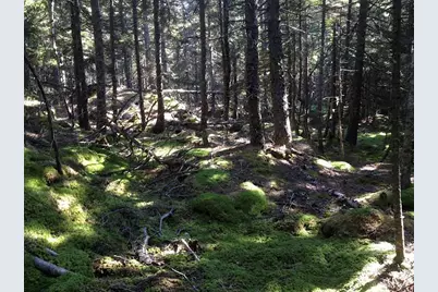 0 Butler Road, Frenchboro, ME 04635 - Photo 12