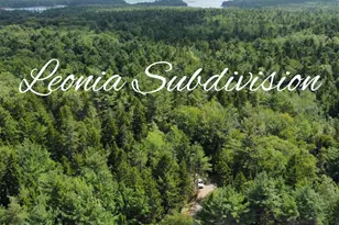 Lot #1 Leonia Rd, Hancock, ME 04640 - Photo 1