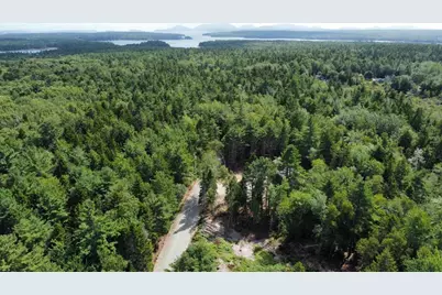Lot #8 Leonia Road, Hancock, ME 04640 - Photo 10
