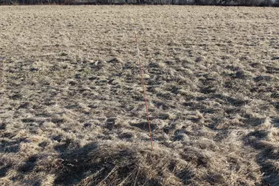 Lot 5 Jackson Ridge Road, Jackson, ME 04921 - Photo 8