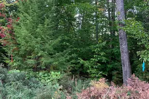 0 Chaplin Mills Rd, Bridgton, ME 04009 - Photo 1