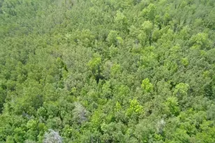 Tbd Trafton Rd, Parkman, ME 04443 - Photo 1