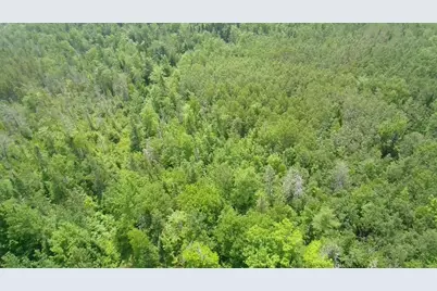 Tbd Trafton Road, Parkman, ME 04443 - Photo 8