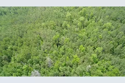 Tbd Trafton Road, Parkman, ME 04443 - Photo 2