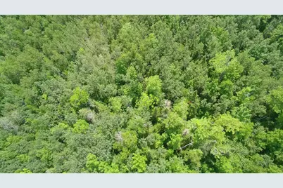 Tbd Trafton Road, Parkman, ME 04443 - Photo 4