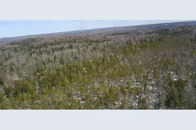 Tbd Trafton Road, Parkman, ME 04443 - Photo 14