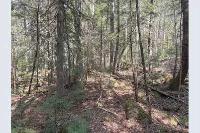 M7 L5 Lombard Road, Lakeville, ME 04487 - Photo 12