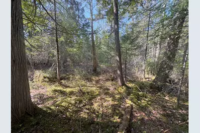 M7 L5 Lombard Road, Lakeville, ME 04487 - Photo 6