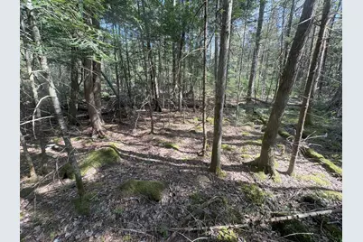 M7 L5 Lombard Road, Lakeville, ME 04487 - Photo 4