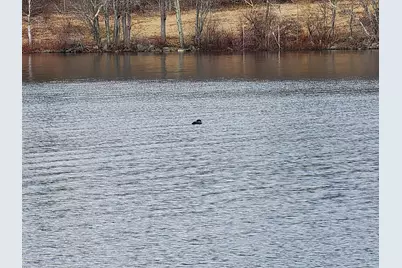 3 Goose River Estates, Swanville, ME 04915 - Photo 8