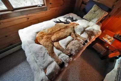 1058 US Rt 1, Weston, ME 04424 - Photo 50