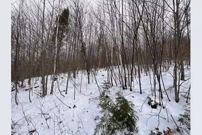 Lot 17 S Rumford Road, Rumford, ME 04276 - Photo 6